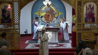 Saint Maurice Coptic Orthodox Church Live Broadcast  Channel 2 [upl. by Olaznog]