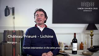 Château PrieuréLichine  Margaux  Millésime 2021 quotEn Primeursquot [upl. by Shepley667]