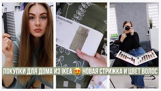 ПОКУПКИ ИЗ ИКЕА 😍 ЭКСПЕРИМЕНТЫ НИКОГДА НЕ ЗАКАНЧИВАЮТСЯ [upl. by Enid691]