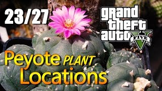 GTA 5  Peyote Plant Locations 2327 [upl. by Gudrun8]