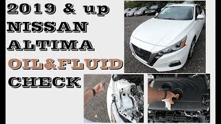 How to Check Oil and Fluids in Nissan Altima 2019 up [upl. by Rizika792]