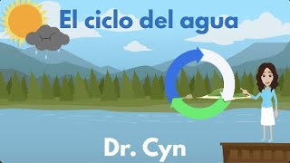 EL CICLO DEL AGUA [upl. by Oidacra]