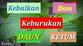 KEBAIKAN DAN KEBURUKAN DAUN KETUM [upl. by Acsot]