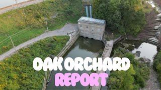 OAK ORCHARD DAM SALMON REPORT 4 [upl. by Huber412]