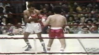 WOW WHAT A FIGHT  Sugar Ray Leonard vs Willie Rodriguez Full HD Highlights [upl. by Lawrenson588]