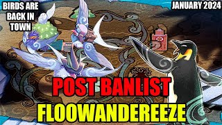 Floowandereeze 1st Place Undefeated YuGiOh Deck Profile JAN 2024 [upl. by Gasper947]