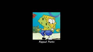 SPONGEBOB  Ripped Pants eclat cover Slowed and Reverb [upl. by Caroline328]