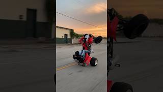 Wheelies into sunset 🌅🌴 miami trx450 florida [upl. by Ardnuhs]