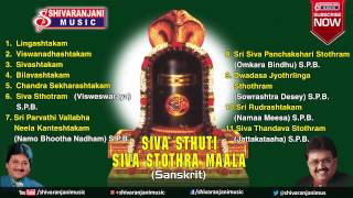 Siva Stuthi  Lord Shiva Devotional Songs  SPBalasubramanyam Songs Mano Songs [upl. by Dj]