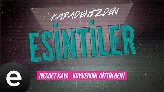 Esintiler Koyverdin Gittin Beni Gelevera Deresi Necdet Kaya  Esen Müzik [upl. by Romelda]