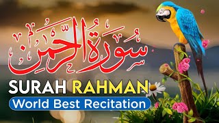 SURAH RAHMAN World Best Recitation [upl. by Mikihisa]