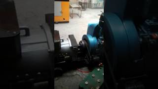 15 KVA Single phase Diesel Generator [upl. by Alaek]