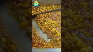 COOKING WallagoBOAL Fish Curry bengalifood villagefishcurry cooking food fishrecipes [upl. by Haleigh105]