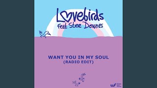 Want You In My Soul feat Stee Downes Radio Edit [upl. by Binnings]