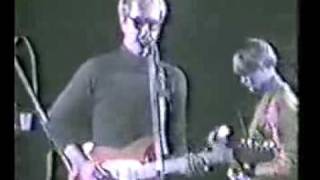 go betweens cattle amp cane live [upl. by Stafani969]