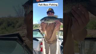 What Fall Bass Fishing looks like bassfishinglife [upl. by Anoel]