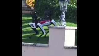 US Secret Service deploys robotic dogs to protect President Donald Trump [upl. by Rachaba]