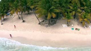 Abanico Beach at Saona Island Dominican Republic [upl. by Eneg]