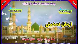 Poshto New HD Naat  Poshto naat  Poshto Nazam  Afghanistan New Tarana  khaksar ashna [upl. by Ynnig]