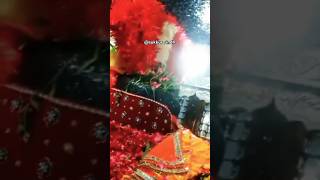 Wasda rahy tera sehwan murshid laalShahbazQalandar sehwansharif youtubeshorts [upl. by Selda316]