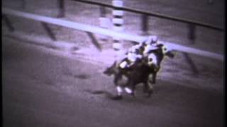 Secretariat  1972 Allowance Win [upl. by Edmund]