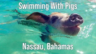 Swimming with Bahama Pigs  Nassau Excursion from Carnival Freedom [upl. by Allyson]