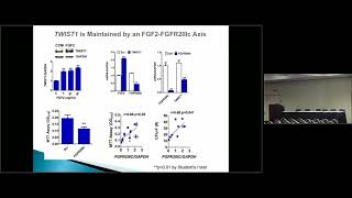 Reconciling the StemProgenitor and Paracrine Functions of MSCs  Donald Phinney [upl. by Aihsotal]