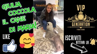 GIULIA STABILE COCCOLA SAKI 🐶🥰 IL CANE DI MARIA DE FILIPPI TIKTOK GIULIA STABILE AMICI 2021 [upl. by Pinkerton]