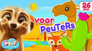 Dierengeluiden Voertuigen amp Woordjes Leren met Pretlettertjes  Voor Peuters [upl. by Agripina301]