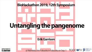 Untangling the pangenome  BioHackathon2019 [upl. by Ecaidnac]