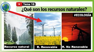 🏔️ ¿Qué son los recursos naturales  La guía definitiva  ecología 🍃 [upl. by Einnaffit]