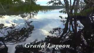 Cuyabeno national parkAmazon jungleEcuadorAmazingmystical placeFull HD [upl. by Lilyan]