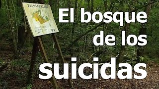 El BOSQUE de los SUICIDAS de Aokigahara en Japón [upl. by Caesar]