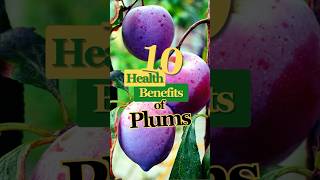 Health Benefits of Plum plum healthtips shorts [upl. by Cointon]