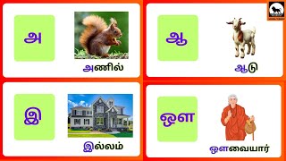 Tamil Uyir Eluthukkal  Uyir Eluthukkal in tamil tamilalphabets uyireluthukkal simmavishnub [upl. by Laurence]