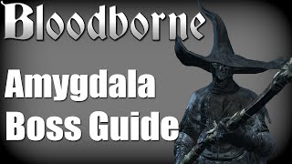 Bloodborne  Amygdala Boss Guide no items no damage taken [upl. by Akinek]