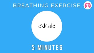 Breathing Exercises To Stop A Panic Attack Now  TAKE A DEEP BREATH [upl. by Eenattirb250]