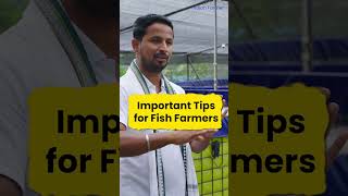 कैसे करें Successful Fish Farming🤔📈पूरा वीडियो जल्दी से देखिए👆indianfarmer shorts [upl. by Yeniar916]