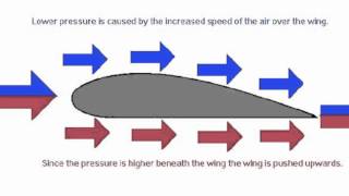 Bernoullis Principle [upl. by Asikal]