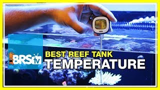 Week 8 Tank Temperature Finding a Way to Trust Your Heater  52 Weeks of Reefing [upl. by Cired817]