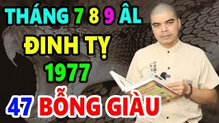 Tử Vi Tháng 7 8 9 Âm Lịch Tuổi ĐINH TỴ 1977 Mẹ Quan Âm Độ Mạng Liên Tiếp Trúng Lớn GIÀU NỨT VÁCH [upl. by Drofwarc]