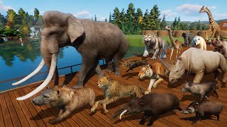 Ancient Animals VS Modern Animals Race in Planet Zoo included Mammoth Smilodon Cheetah amp Tiger [upl. by Ericksen]