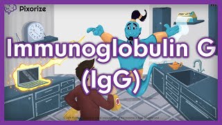 Immunoglobulin G IgG USMLE Mnemonic [upl. by Hugh]