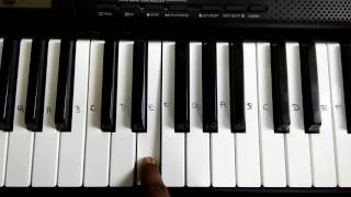 Salamat Sarbjit Piano Full Song Tutorial  How To Play On Piano [upl. by Misak]