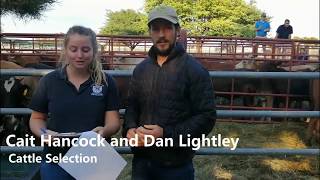 Onderstepoort Feedlot Challenge Auction Day [upl. by Ibba]