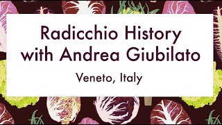 Radicchio History with Andrea Giubilato [upl. by Whitcomb]