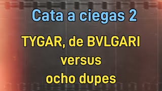 Tygar Bvlgari versus ocho inspiraciones o clones [upl. by Jakob83]