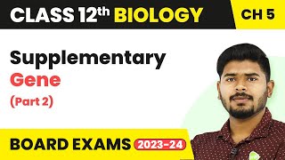 Supplementary Gene Part 2  Class 12 Biology Chapter 5 NCERTNEET 202223 [upl. by Bobbette]