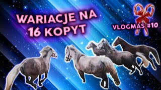 DLA TYCH CO NIE WYPUSZCZAJĄ KONI NA PADOK VLOGMAS 10 [upl. by Atok332]