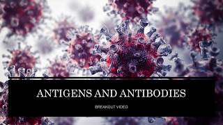 Antigens and Antibodies [upl. by Uranie859]